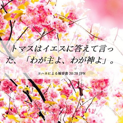 Picture 06 - ヨハネによる福音書 20:28 JPN - トマスはイエスに答えて言った、「 - Bible Verse Picture