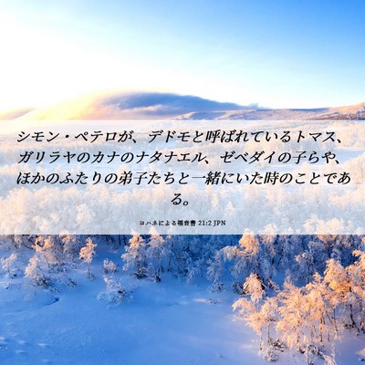 Picture 06 - ヨハネによる福音書 21:2 JPN - シモン・ペテロが、デドモと呼ばれ - Bible Verse Picture