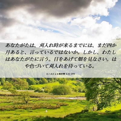 Picture 06 - ヨハネによる福音書 4:35 JPN - あなたがたは、刈入れ時が来るまで - Bible Verse Picture