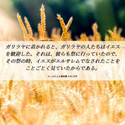 Picture 06 - ヨハネによる福音書 4:45 JPN - ガリラヤに着かれると、ガリラヤの - Bible Verse Picture