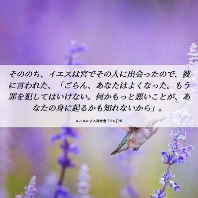 Picture 06 - ヨハネによる福音書 5:14 JPN - そののち、イエスは宮でその人に出 - Bible Verse Picture