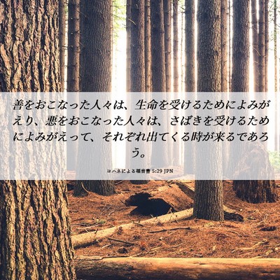 Picture 06 - ヨハネによる福音書 5:29 JPN - 善をおこなった人々は、生命を受け - Bible Verse Picture