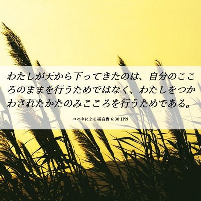 Picture 06 - ヨハネによる福音書 6:38 JPN - わたしが天から下ってきたのは、自 - Bible Verse Picture
