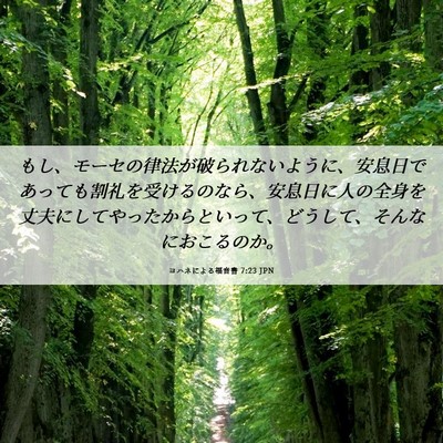 Picture 06 - ヨハネによる福音書 7:23 JPN - もし、モーセの律法が破られないよ - Bible Verse Picture