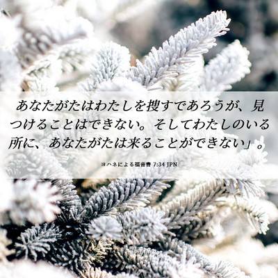 Picture 06 - ヨハネによる福音書 7:34 JPN - あなたがたはわたしを捜すであろう - Bible Verse Picture