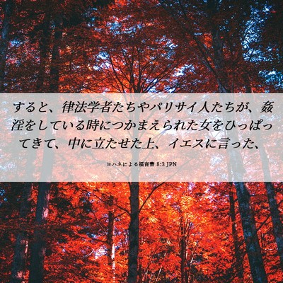 Picture 06 - ヨハネによる福音書 8:3 JPN - すると、律法学者たちやパリサイ人 - Bible Verse Picture
