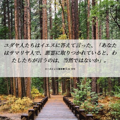 Picture 06 - ヨハネによる福音書 8:48 JPN - ユダヤ人たちはイエスに答えて言っ - Bible Verse Picture