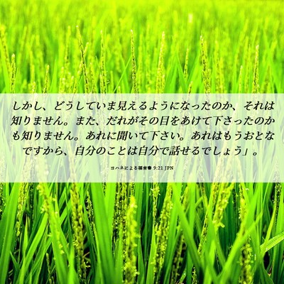 Picture 06 - ヨハネによる福音書 9:21 JPN - しかし、どうしていま見えるように - Bible Verse Picture