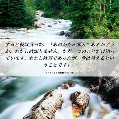 Picture 06 - ヨハネによる福音書 9:25 JPN - すると彼は言った、「あのかたが罪 - Bible Verse Picture