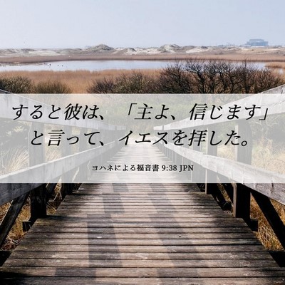 Picture 06 - ヨハネによる福音書 9:38 JPN - すると彼は、「主よ、信じます」と - Bible Verse Picture