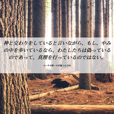 Picture 06 - ヨハネの第一の手紙 1:6 JPN - 神と交わりをしていると言いながら - Bible Verse Picture