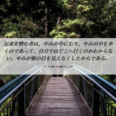 Picture 06 - ヨハネの第一の手紙 2:11 JPN - 兄弟を憎む者は、やみの中におり、 - Bible Verse Picture