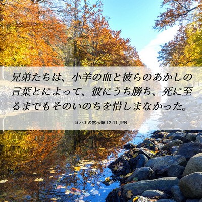 Picture 06 - ヨハネの黙示録 12:11 JPN - 兄弟たちは、小羊の血と彼らのあか - Bible Verse Picture