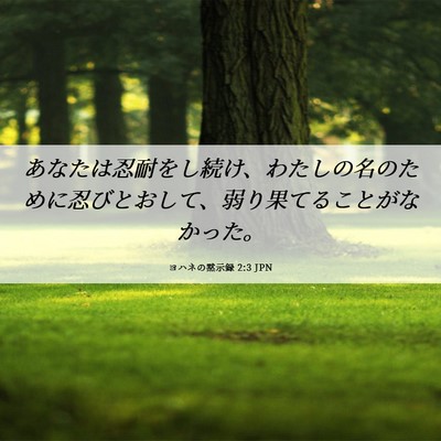 Picture 06 - ヨハネの黙示録 2:3 JPN - あなたは忍耐をし続け、わたしの名 - Bible Verse Picture
