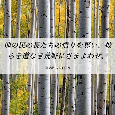 Picture 06 - ヨブ記 12:24 JPN - 地の民の長たちの悟りを奪い、彼ら - Bible Verse Picture
