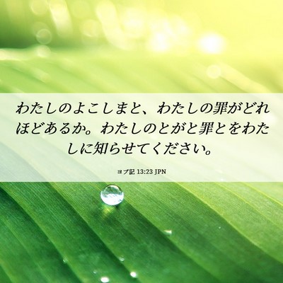 Picture 06 - ヨブ記 13:23 JPN - わたしのよこしまと、わたしの罪が - Bible Verse Picture