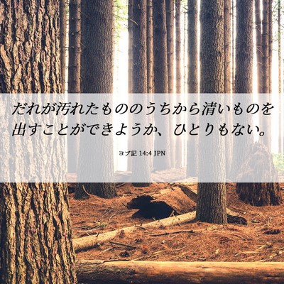 Picture 06 - ヨブ記 14:4 JPN - だれが汚れたもののうちから清いも - Bible Verse Picture