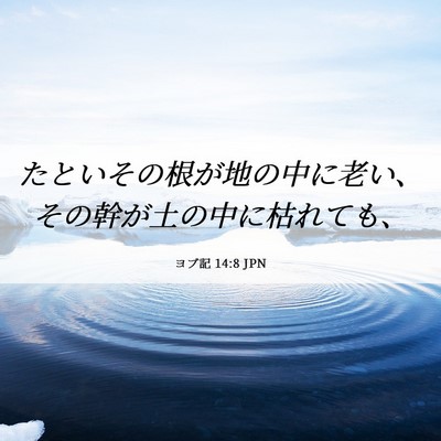 Picture 06 - ヨブ記 14:8 JPN - たといその根が地の中に老い、その - Bible Verse Picture
