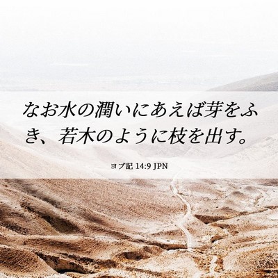 Picture 06 - ヨブ記 14:9 JPN - なお水の潤いにあえば芽をふき、若 - Bible Verse Picture