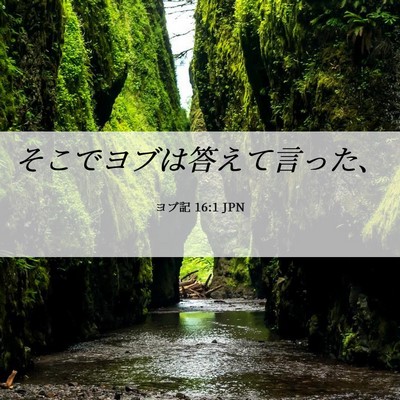 Picture 06 - ヨブ記 16:1 JPN - そこでヨブは答えて言った、 - Bible Verse Picture