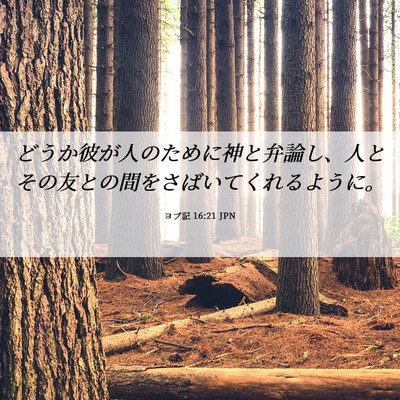 Picture 06 - ヨブ記 16:21 JPN - どうか彼が人のために神と弁論し、 - Bible Verse Picture