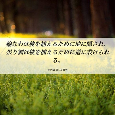 Picture 06 - ヨブ記 18:10 JPN - 輪なわは彼を捕えるために地に隠さ - Bible Verse Picture