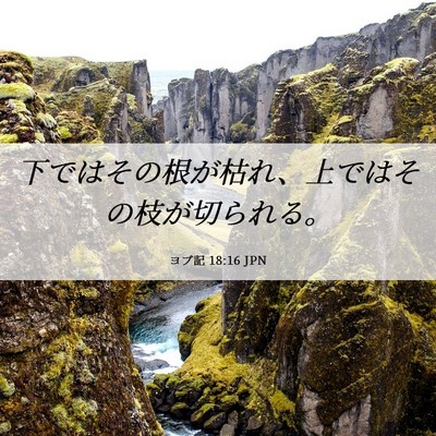 Picture 06 - ヨブ記 18:16 JPN - 下ではその根が枯れ、上ではその枝 - Bible Verse Picture