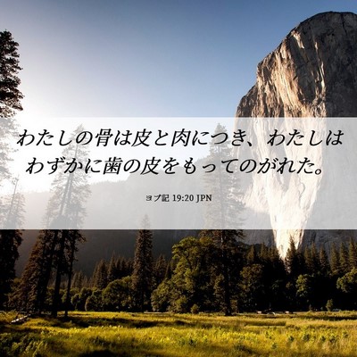 Picture 06 - ヨブ記 19:20 JPN - わたしの骨は皮と肉につき、わたし - Bible Verse Picture