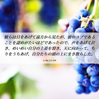 Picture 06 - ヨブ記 2:12 JPN - 彼らは目をあげて遠方から見たが、 - Bible Verse Picture