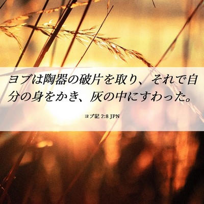Picture 06 - ヨブ記 2:8 JPN - ヨブは陶器の破片を取り、それで自 - Bible Verse Picture