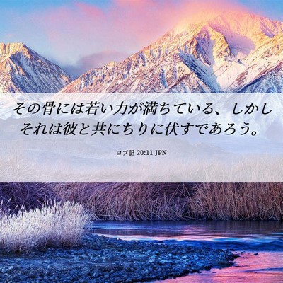 Picture 06 - ヨブ記 20:11 JPN - その骨には若い力が満ちている、し - Bible Verse Picture