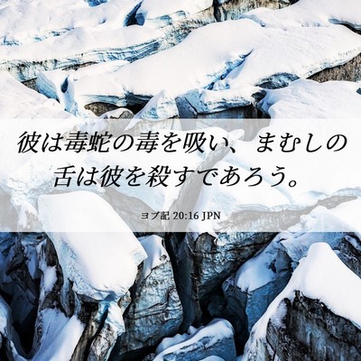 Picture 06 - ヨブ記 20:16 JPN - 彼は毒蛇の毒を吸い、まむしの舌は - Bible Verse Picture