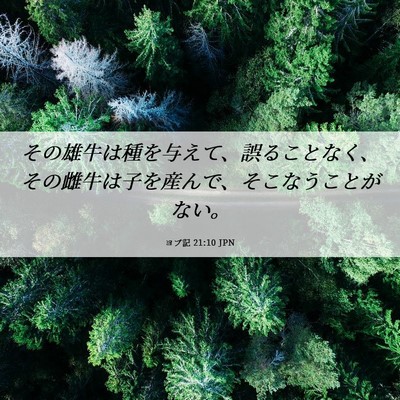 Picture 06 - ヨブ記 21:10 JPN - その雄牛は種を与えて、誤ることな - Bible Verse Picture
