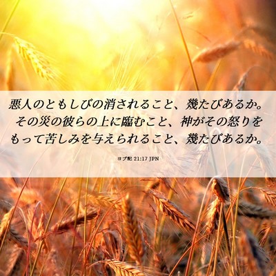 Picture 06 - ヨブ記 21:17 JPN - 悪人のともしびの消されること、幾 - Bible Verse Picture