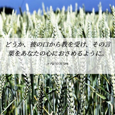 Picture 06 - ヨブ記 22:22 JPN - どうか、彼の口から教を受け、その - Bible Verse Picture