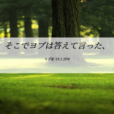 Picture 06 - ヨブ記 23:1 JPN - そこでヨブは答えて言った、 - Bible Verse Picture