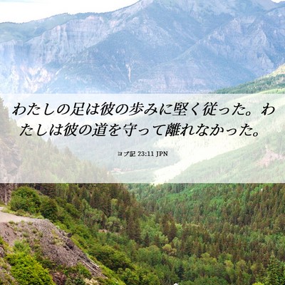 Picture 06 - ヨブ記 23:11 JPN - わたしの足は彼の歩みに堅く従った - Bible Verse Picture