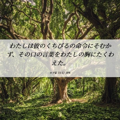 Picture 06 - ヨブ記 23:12 JPN - わたしは彼のくちびるの命令にそむ - Bible Verse Picture