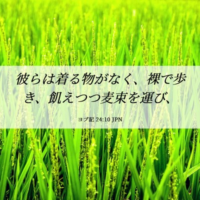 Picture 06 - ヨブ記 24:10 JPN - 彼らは着る物がなく、裸で歩き、飢 - Bible Verse Picture