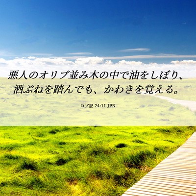 Picture 06 - ヨブ記 24:11 JPN - 悪人のオリブ並み木の中で油をしぼ - Bible Verse Picture