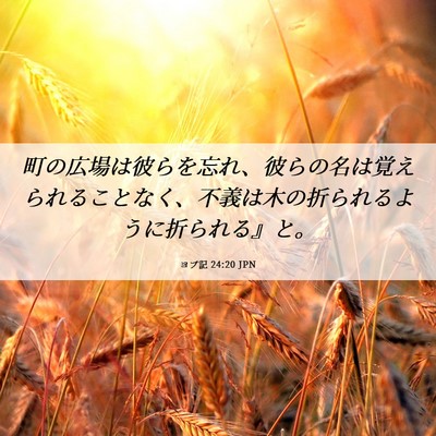 Picture 06 - ヨブ記 24:20 JPN - 町の広場は彼らを忘れ、彼らの名は - Bible Verse Picture