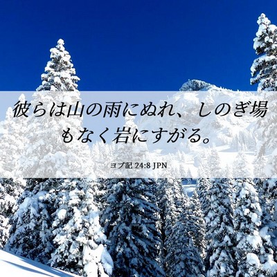 Picture 06 - ヨブ記 24:8 JPN - 彼らは山の雨にぬれ、しのぎ場もな - Bible Verse Picture