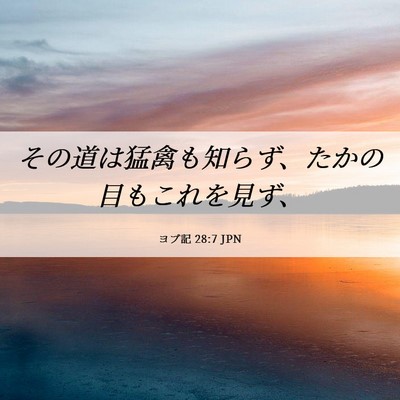 Picture 06 - ヨブ記 28:7 JPN - その道は猛禽も知らず、たかの目も - Bible Verse Picture