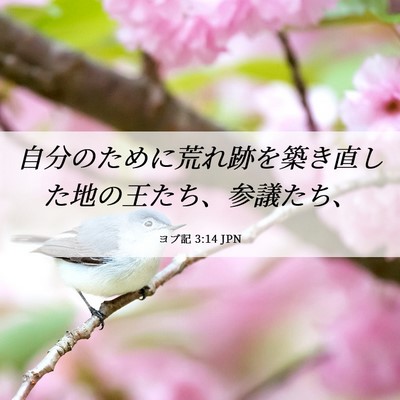 Picture 06 - ヨブ記 3:14 JPN - 自分のために荒れ跡を築き直した地 - Bible Verse Picture