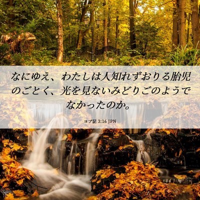 Picture 06 - ヨブ記 3:16 JPN - なにゆえ、わたしは人知れずおりる - Bible Verse Picture