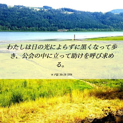 Picture 06 - ヨブ記 30:28 JPN - わたしは日の光によらずに黒くなっ - Bible Verse Picture