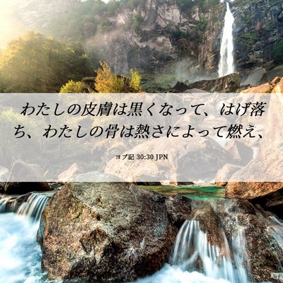 Picture 06 - ヨブ記 30:30 JPN - わたしの皮膚は黒くなって、はげ落 - Bible Verse Picture