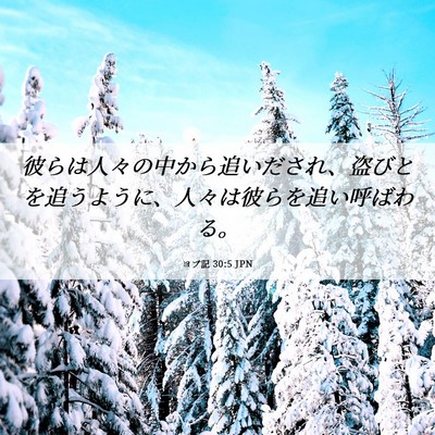 Picture 06 - ヨブ記 30:5 JPN - 彼らは人々の中から追いだされ、盗 - Bible Verse Picture