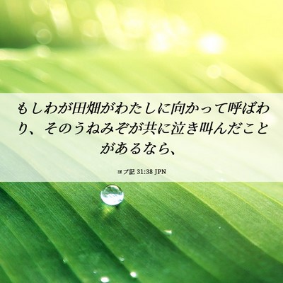 Picture 06 - ヨブ記 31:38 JPN - もしわが田畑がわたしに向かって呼 - Bible Verse Picture