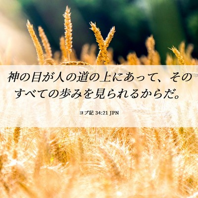Picture 06 - ヨブ記 34:21 JPN - 神の目が人の道の上にあって、その - Bible Verse Picture